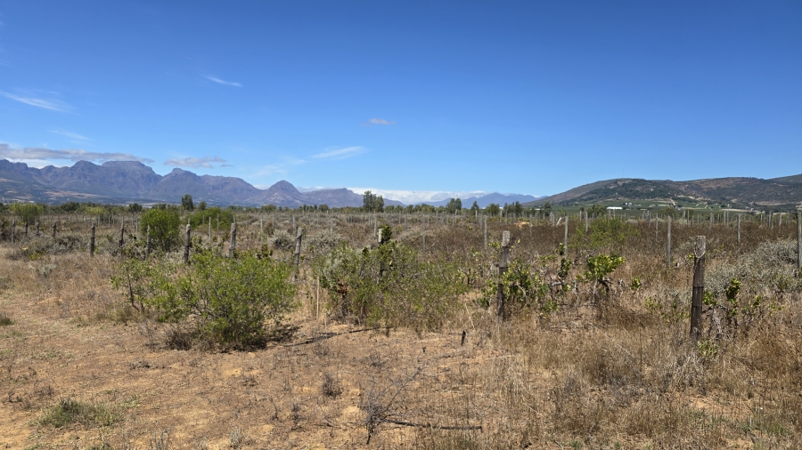 Commercial Property for Sale in Paarl Rural Western Cape